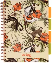 Kołozeszyt Pads B5/100K kratka Tropiki Małpki