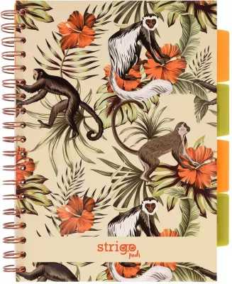 Kołozeszyt Pads B5/100K kratka Tropiki Małpki