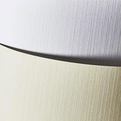 Karton ozdobny A4, biały. Florida, 20 sztuk