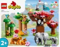 LEGO® DUPLO® Town. Dzikie zwierzęta Azji. 10974 - tantis.pl