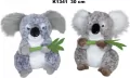 Koala 30cm MIX - tantis.pl