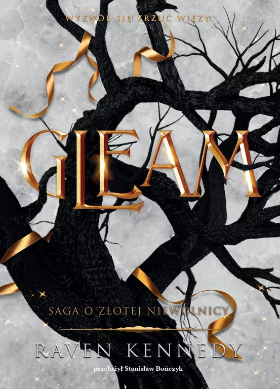 Gleam. Saga o złotej niewolnicy. Tom 3 - tantis.pl