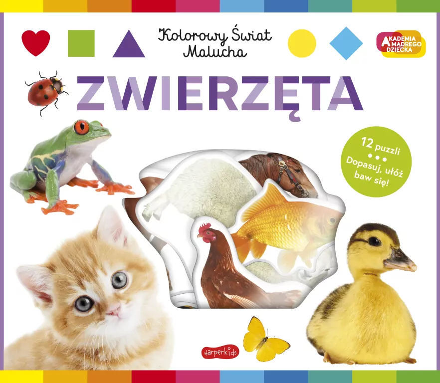 Zwierzęta Akademia mądrego dziecka. Kolorowy... - tantis.pl