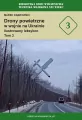 Drony powietrzne w wojnie na Ukrainie. Ilustrowany leksykon. Tom 3 - tantis.pl