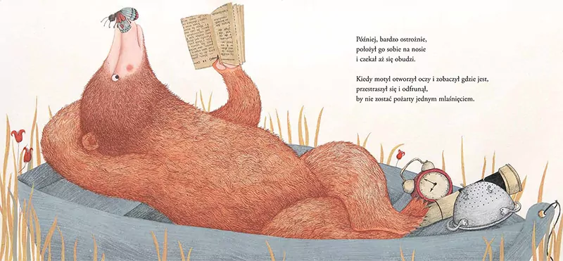 Niedźwiedź łowca motyli - tantis.pl