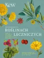 Przewodnik po roślinach leczniczych - tantis.pl