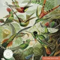 Puzzle 1000 Kolibry V&A - tantis.pl