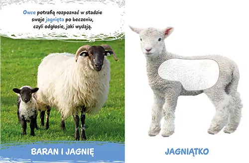 Milusińscy. Na wsi - tantis.pl