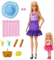 Barbie Family&Friends Siostry na pikniku - tantis.pl