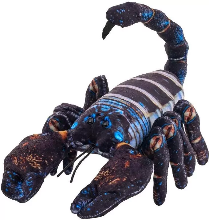 Skorpion czarny 38cm - tantis.pl