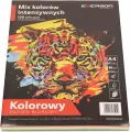 Papier kolorowy Emerson mix 20x5 A4 (mix) 80g intensywne 1 ryza - tantis.pl