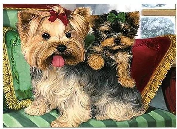 Mozaika diamentowa 5D - Yorki 40x30cm - tantis.pl