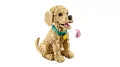 LEGO® Icons. Szczeniak golden retriever 11384 - tantis.pl