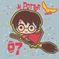 Malowanie po numerach - Harry Potter 25x25cm - tantis.pl