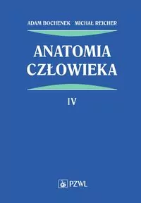 Anatomia człowieka. Tom 4 - tantis.pl