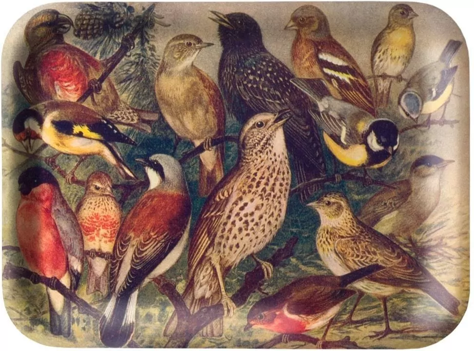 Tacka kuchenna ozdobna Ptaki - tantis.pl