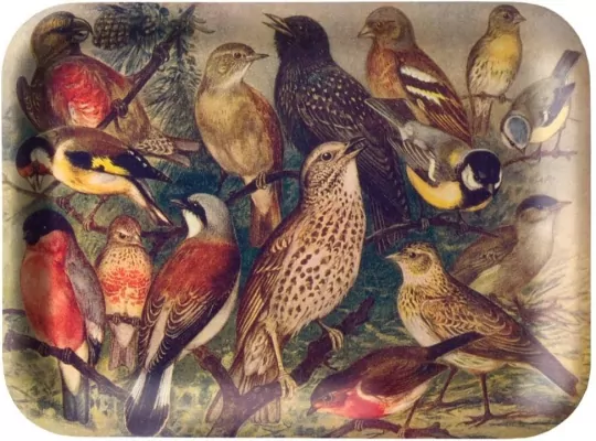 Tacka kuchenna ozdobna Ptaki