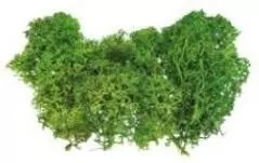 Mech sztuczny, jasnozielony 10g - tantis.pl