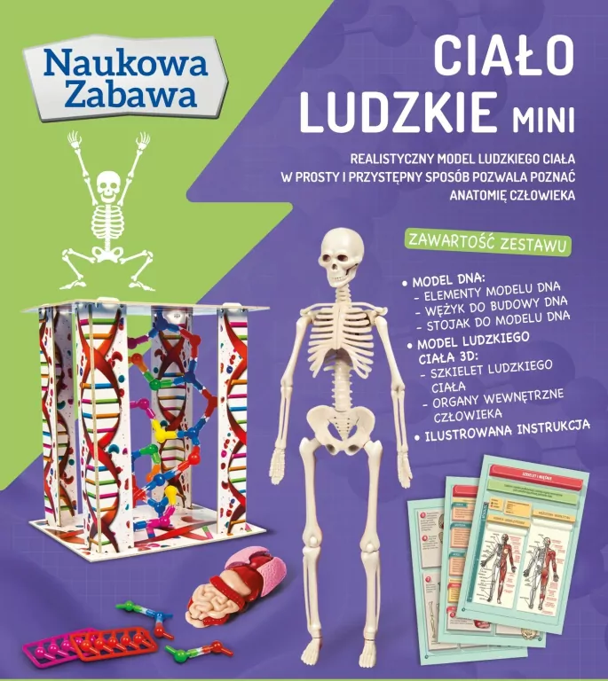 Ciało ludzkie mini. Naukowa zabawa - tantis.pl