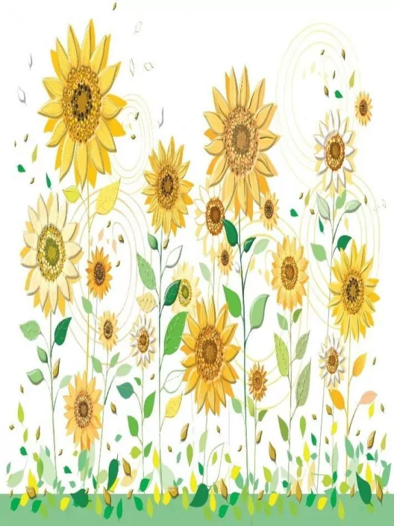 Karnet B6 + koperta: Słoneczniki - tantis.pl