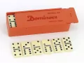 Domino w plastikowym pudełku - tantis.pl
