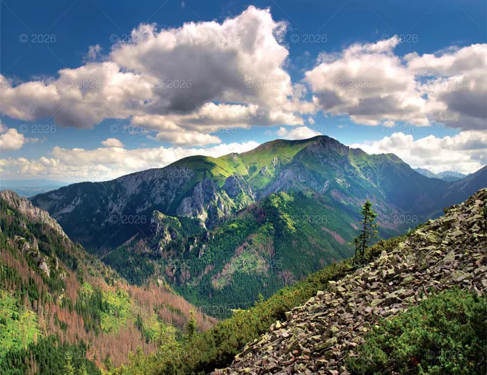Kalendarz 2026 reklamowy Pejzaże polskie - tantis.pl