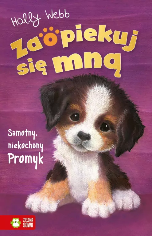 Samotny, niekochany Promyk. Zaopiekuj się mną - tantis.pl