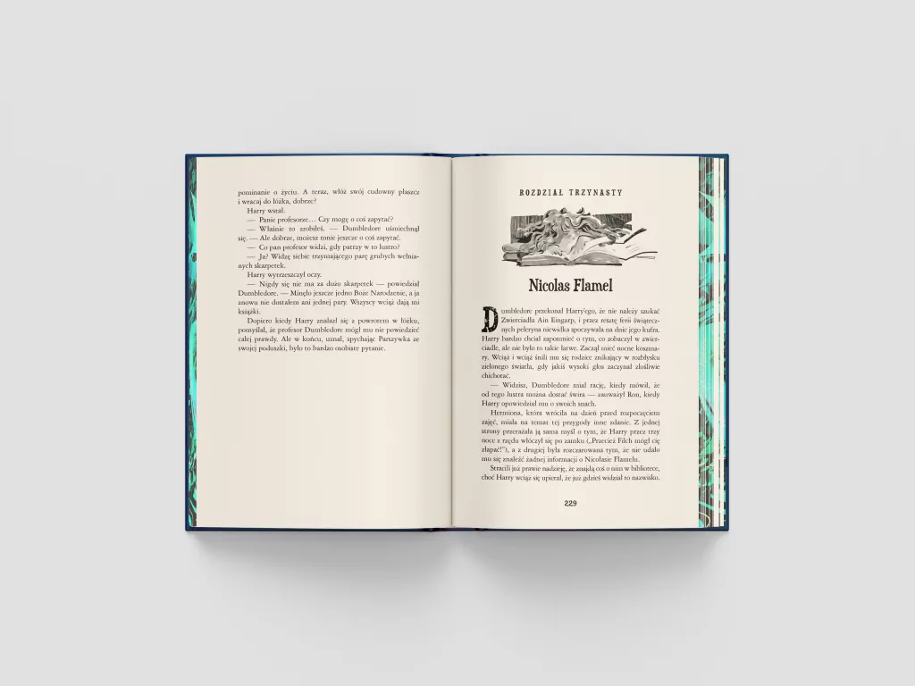 Harry Potter i Kamień Filozoficzny. Harry Potter (ilustrowane brzegi) - tantis.pl