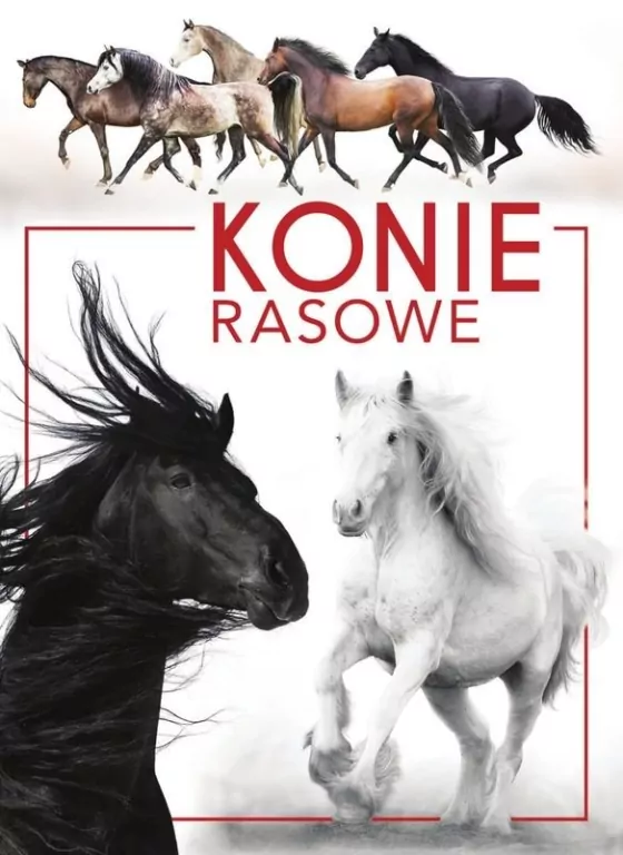 Konie rasowe - tantis.pl