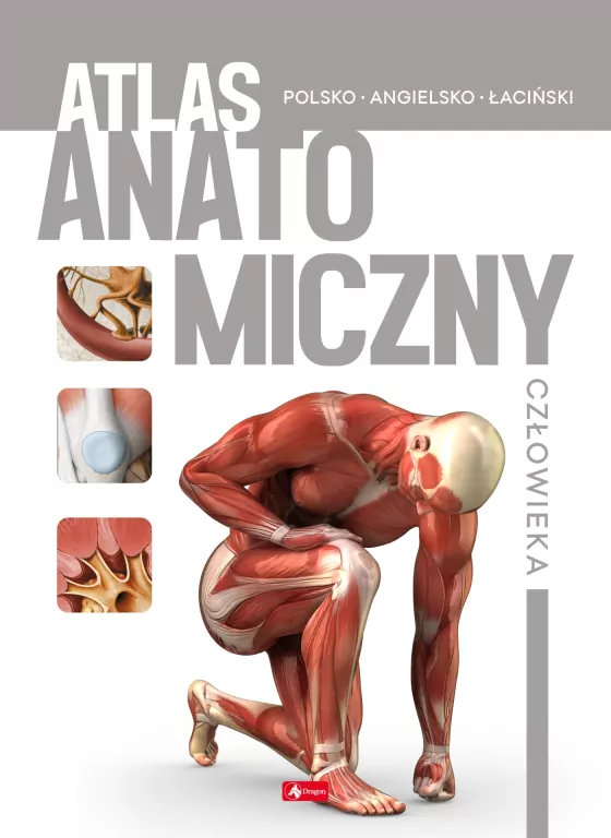 Atlas anatomiczny człowieka. Polsko-angielsko-łaciński - tantis.pl