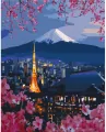 Malowanie po numerach 40x50 cm. Podróż po Japonii - tantis.pl