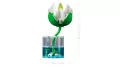 LEGO® Lilie wodne 11511 - tantis.pl