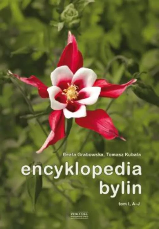 Encyklopedia bylin. Tom 1 (A-J) - tantis.pl