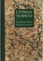 Katalog prac plastycznych Cypriana Norwida Tom 6 - tantis.pl