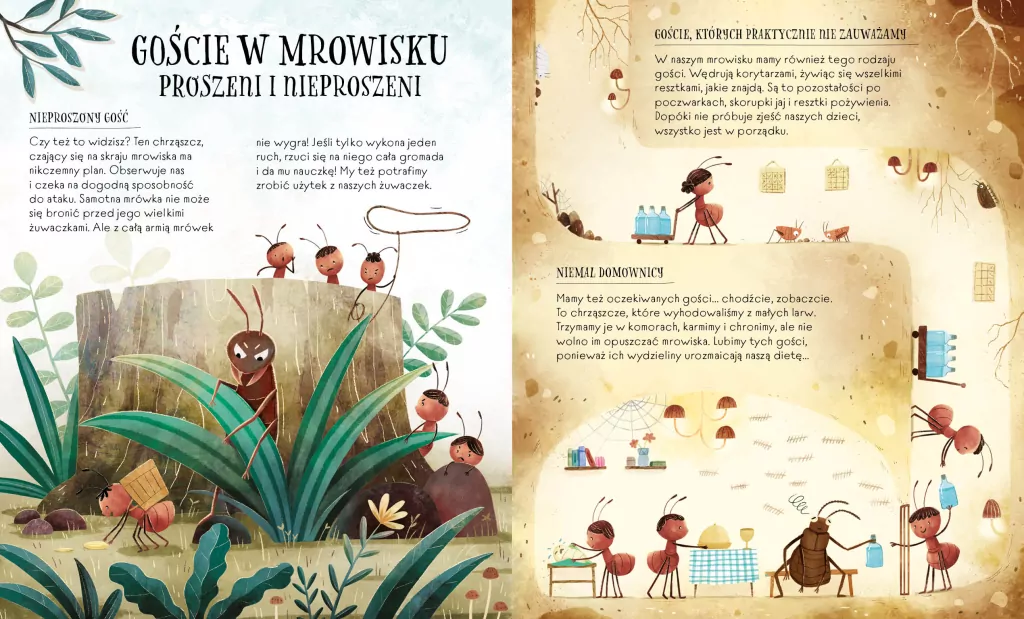Tam, gdzie mieszkaja mrówki - tantis.pl