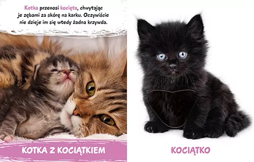 Milusińscy w domu - tantis.pl