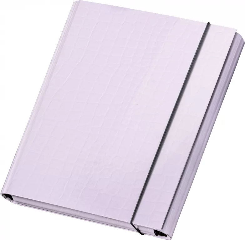 TECZKA Z GUMKA A4 SKRZYD PASTELOVE LILA VPE 1/12 - tantis.pl