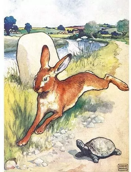 Karnet B6 z kopertą The Hare and the Tortoise - tantis.pl