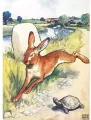 Karnet B6 z kopertą The Hare and the Tortoise - tantis.pl