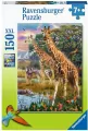 Puzzle 150 Giraffes in Africa - tantis.pl