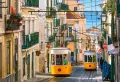 Puzzle 1000. Lisbon Trams Portugal. 104260 - tantis.pl