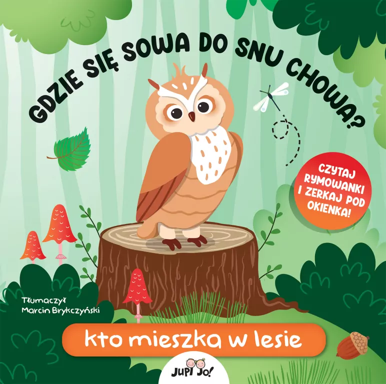 Gdzie się sowa do snu chowa? Kto mieszka w lesie - tantis.pl