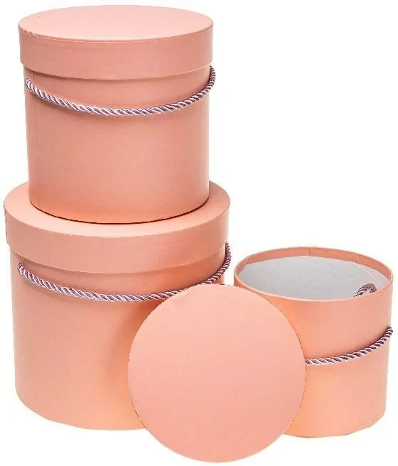 Pudełko Flower Box 3szt brzoskwiniowy ROZETTE - tantis.pl