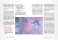 Aromaterapia dla kobiet - tantis.pl