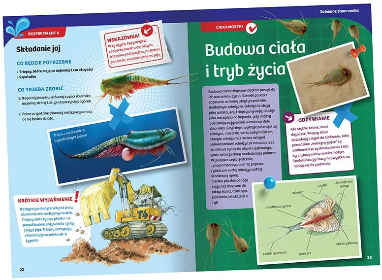 Hodowla triopsów - tantis.pl