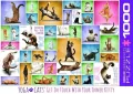 Puzzle 1000. Joga koty - tantis.pl