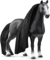 Piękna klacz rasy Quarter Horse Sofia's Beauties 42620 - tantis.pl