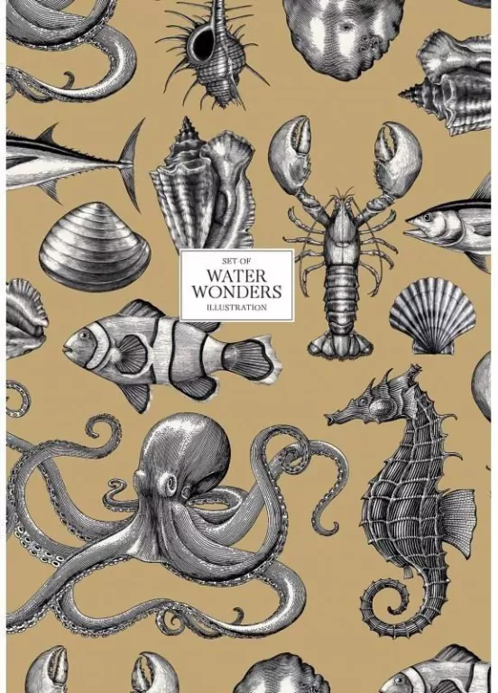 Brulion A4/80K kratka. Water Wonders - tantis.pl