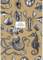 Brulion A4/80K kratka. Water Wonders - tantis.pl