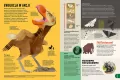 Britannica. Encyklopedia dla dzieci. Nowe wydanie - tantis.pl